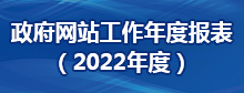 网站年度报告